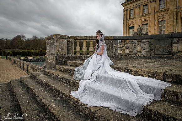 Noel Vaux le Vicomte 2014