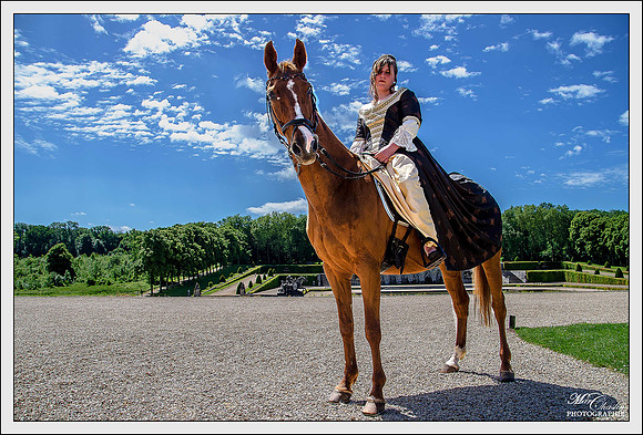 Journée Grand siècle Vaux le Vicomte