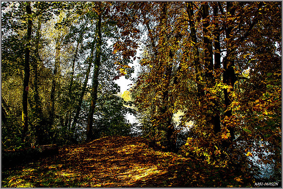 Chlorophylle