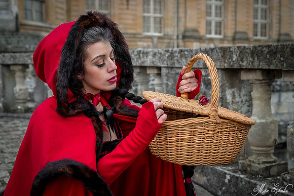 Noel Vaux le Vicomte 2014