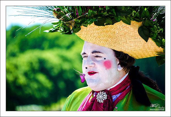 Journée Grand siècle Vaux le Vicomte