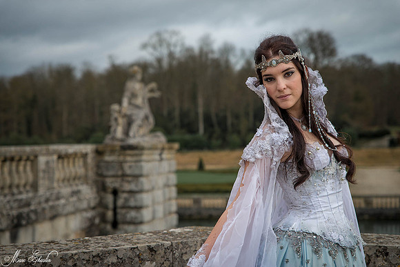 Noel Vaux le Vicomte 2014