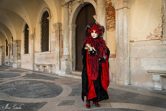 Carnaval de Venise 2015