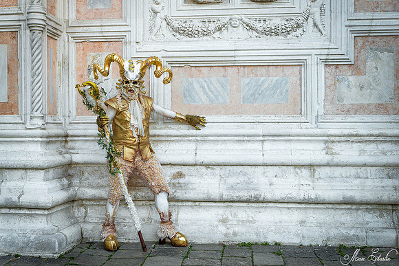 Carnaval de Venise 2015