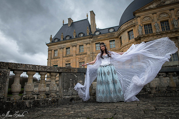 Noel Vaux le Vicomte 2014
