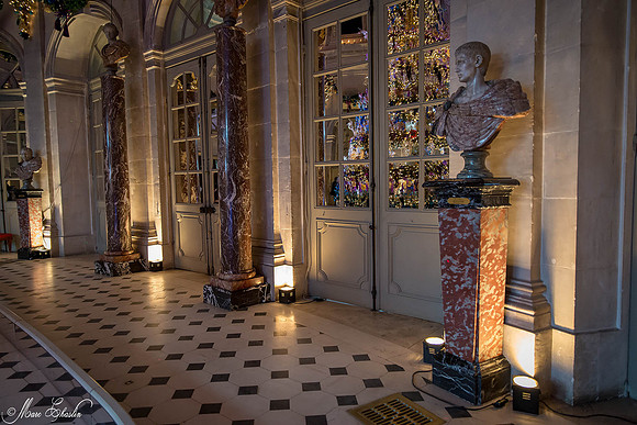 Noel Vaux le Vicomte 2014