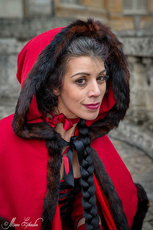 Noel Vaux le Vicomte 2014