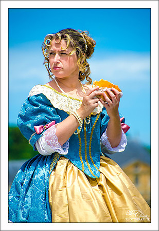 Journée Grand siècle Vaux le Vicomte