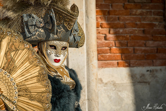 Carnaval de Venise 2015