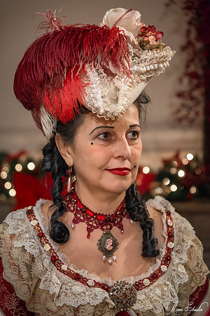 Noel Vaux le Vicomte 2014