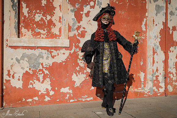 Carnaval de Venise 2015