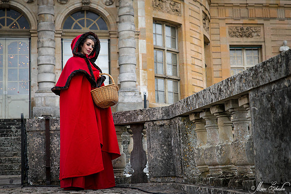 Noel Vaux le Vicomte 2014