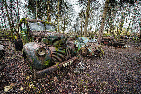 HDR