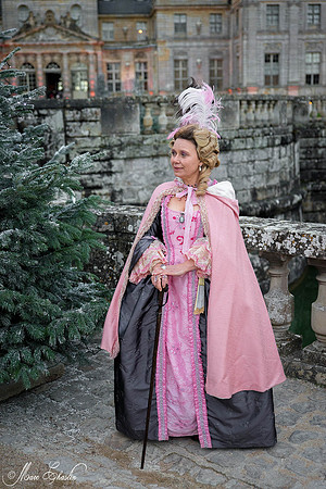 Noel Vaux le Vicomte 2014
