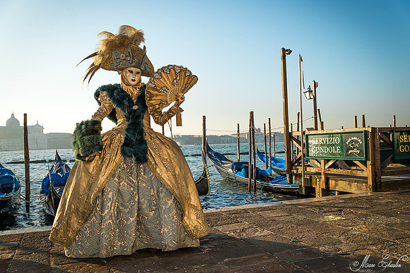 Carnaval de Venise 2015