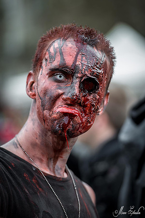 zombie walk PARIS 2014