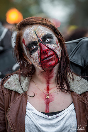 zombie walk PARIS 2014