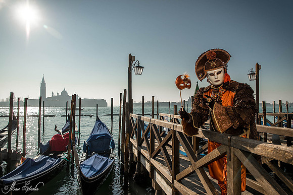Carnaval de Venise 2015