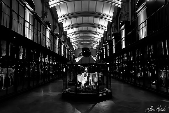 Noir et Blanc