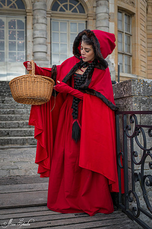 Noel Vaux le Vicomte 2014